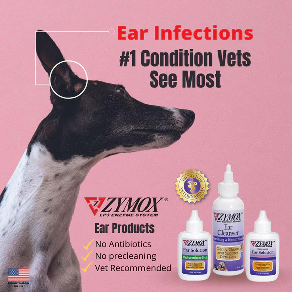 RZES0125W-inset7