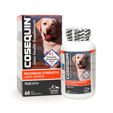 Nutramax Cosequin DS Plus MSM Chewable Tablets for Dogs 60ct