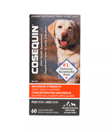 Nutramax Cosequin Maximum Strength Plus MSM Sprinkle Capsules 60ct